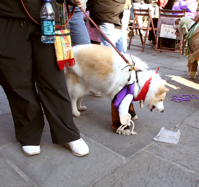 MYSTIC_KREWE_OF_BARKUS_2007_PARADE_PICTURES_0466