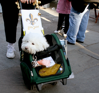 MYSTIC_KREWE_OF_BARKUS_2007_PARADE_PICTURES_0467