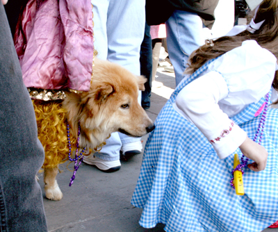 MYSTIC_KREWE_OF_BARKUS_2007_PARADE_PICTURES_0468