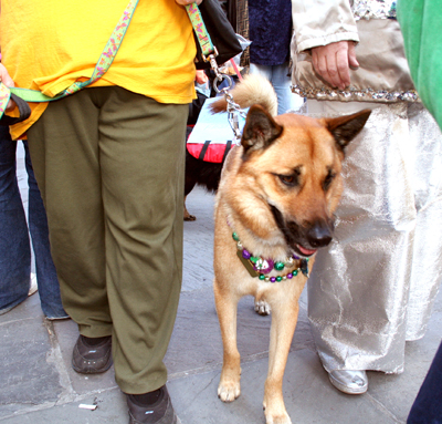 MYSTIC_KREWE_OF_BARKUS_2007_PARADE_PICTURES_0471