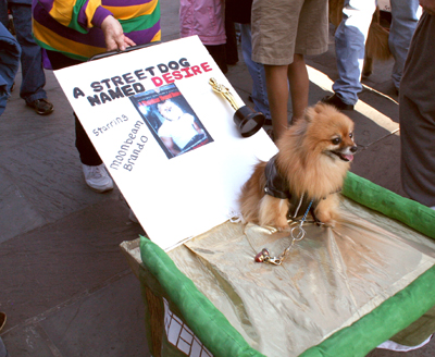 MYSTIC_KREWE_OF_BARKUS_2007_PARADE_PICTURES_0473