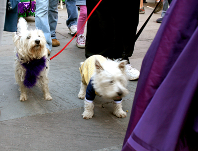 MYSTIC_KREWE_OF_BARKUS_2007_PARADE_PICTURES_0475