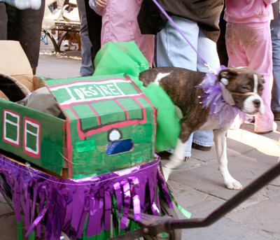 MYSTIC_KREWE_OF_BARKUS_2007_PARADE_PICTURES_0476