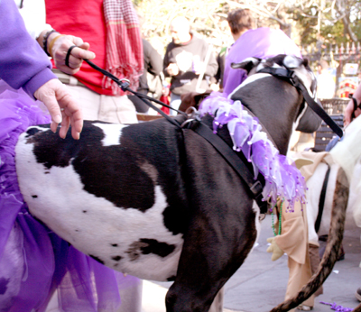 MYSTIC_KREWE_OF_BARKUS_2007_PARADE_PICTURES_0477