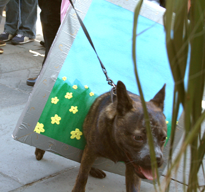 MYSTIC_KREWE_OF_BARKUS_2007_PARADE_PICTURES_0481