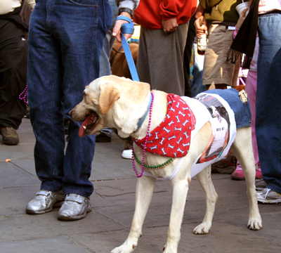 MYSTIC_KREWE_OF_BARKUS_2007_PARADE_PICTURES_0482