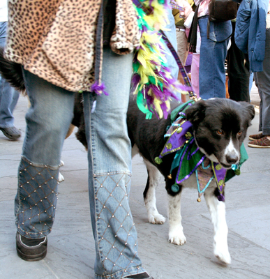 MYSTIC_KREWE_OF_BARKUS_2007_PARADE_PICTURES_0485