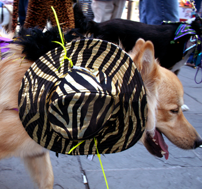 MYSTIC_KREWE_OF_BARKUS_2007_PARADE_PICTURES_0487