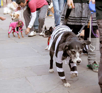 MYSTIC_KREWE_OF_BARKUS_2007_PARADE_PICTURES_0491