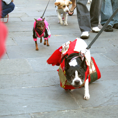 MYSTIC_KREWE_OF_BARKUS_2007_PARADE_PICTURES_0492