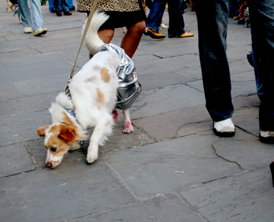 MYSTIC_KREWE_OF_BARKUS_2007_PARADE_PICTURES_0494