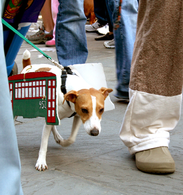 MYSTIC_KREWE_OF_BARKUS_2007_PARADE_PICTURES_0495