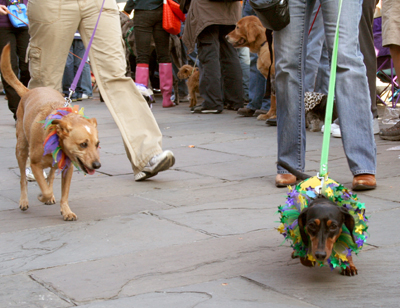 MYSTIC_KREWE_OF_BARKUS_2007_PARADE_PICTURES_0496