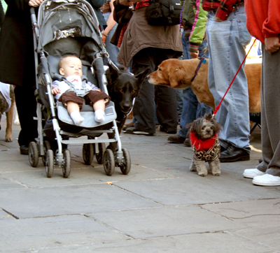 MYSTIC_KREWE_OF_BARKUS_2007_PARADE_PICTURES_0500