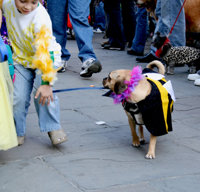 MYSTIC_KREWE_OF_BARKUS_2007_PARADE_PICTURES_0502