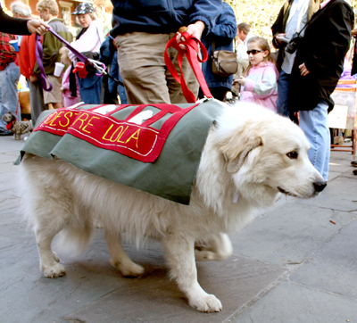 MYSTIC_KREWE_OF_BARKUS_2007_PARADE_PICTURES_0503