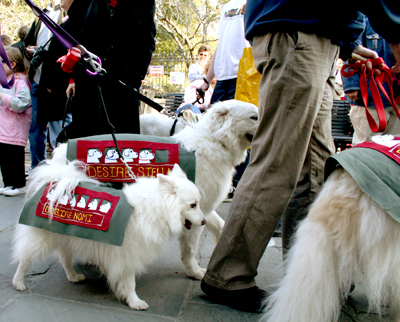 MYSTIC_KREWE_OF_BARKUS_2007_PARADE_PICTURES_0504