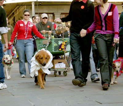 MYSTIC_KREWE_OF_BARKUS_2007_PARADE_PICTURES_0508