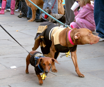 MYSTIC_KREWE_OF_BARKUS_2007_PARADE_PICTURES_0511