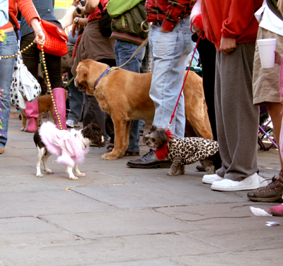 MYSTIC_KREWE_OF_BARKUS_2007_PARADE_PICTURES_0514
