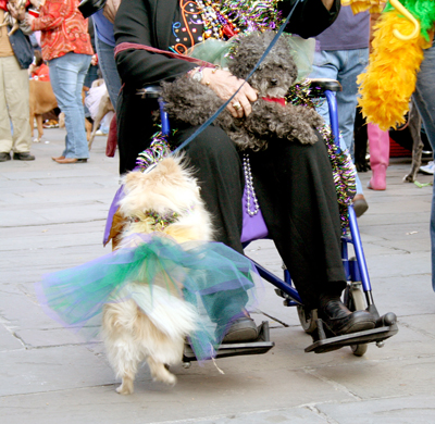MYSTIC_KREWE_OF_BARKUS_2007_PARADE_PICTURES_0519