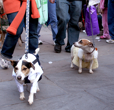 MYSTIC_KREWE_OF_BARKUS_2007_PARADE_PICTURES_0523