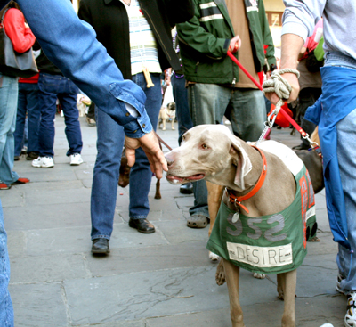 MYSTIC_KREWE_OF_BARKUS_2007_PARADE_PICTURES_0524