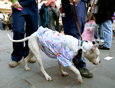 MYSTIC_KREWE_OF_BARKUS_2007_PARADE_PICTURES_0529