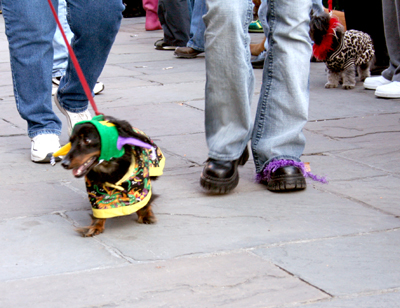 MYSTIC_KREWE_OF_BARKUS_2007_PARADE_PICTURES_0530