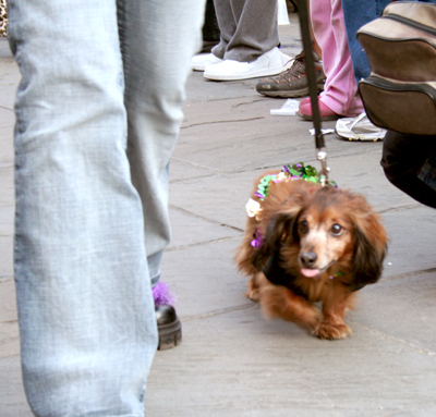 MYSTIC_KREWE_OF_BARKUS_2007_PARADE_PICTURES_0531