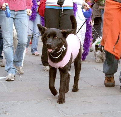 MYSTIC_KREWE_OF_BARKUS_2007_PARADE_PICTURES_0534