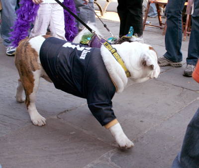 MYSTIC_KREWE_OF_BARKUS_2007_PARADE_PICTURES_0535