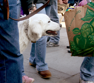 MYSTIC_KREWE_OF_BARKUS_2007_PARADE_PICTURES_0536