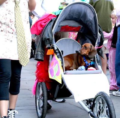 MYSTIC_KREWE_OF_BARKUS_2007_PARADE_PICTURES_0537