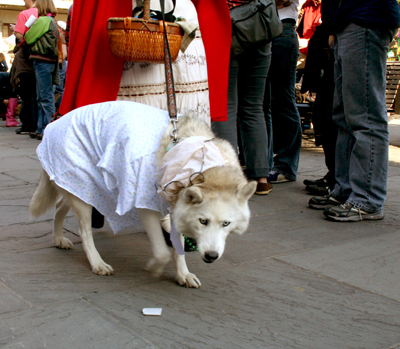 MYSTIC_KREWE_OF_BARKUS_2007_PARADE_PICTURES_0539