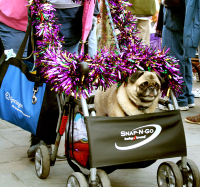 MYSTIC_KREWE_OF_BARKUS_2007_PARADE_PICTURES_0544