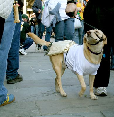 MYSTIC_KREWE_OF_BARKUS_2007_PARADE_PICTURES_0545
