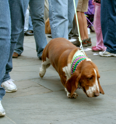 MYSTIC_KREWE_OF_BARKUS_2007_PARADE_PICTURES_0547
