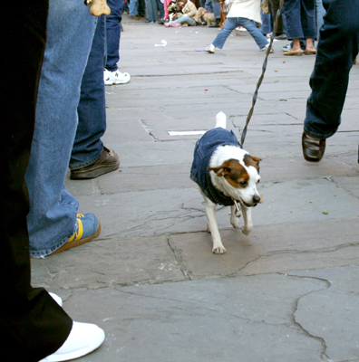 MYSTIC_KREWE_OF_BARKUS_2007_PARADE_PICTURES_0548