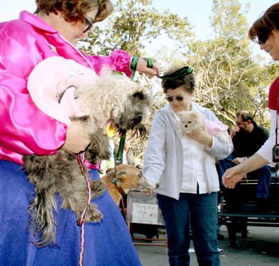 MYSTIC_KREWE_OF_BARKUS_2007_PARADE_PICTURES_0552