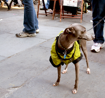 MYSTIC_KREWE_OF_BARKUS_2007_PARADE_PICTURES_0554
