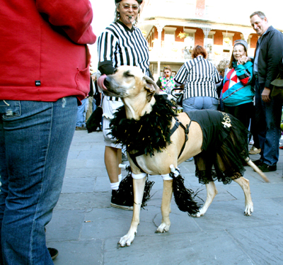 MYSTIC_KREWE_OF_BARKUS_2007_PARADE_PICTURES_0557