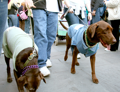 MYSTIC_KREWE_OF_BARKUS_2007_PARADE_PICTURES_0561