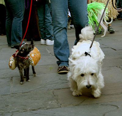 MYSTIC_KREWE_OF_BARKUS_2007_PARADE_PICTURES_0565