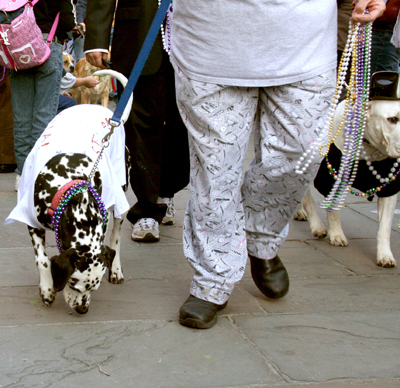 MYSTIC_KREWE_OF_BARKUS_2007_PARADE_PICTURES_0567