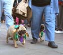 MYSTIC_KREWE_OF_BARKUS_2007_PARADE_PICTURES_0499