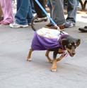 MYSTIC_KREWE_OF_BARKUS_2007_PARADE_PICTURES_0505