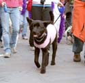 MYSTIC_KREWE_OF_BARKUS_2007_PARADE_PICTURES_0534