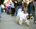 MYSTIC_KREWE_OF_BARKUS_2007_PARADE_PICTURES_0542