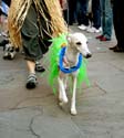 MYSTIC_KREWE_OF_BARKUS_2007_PARADE_PICTURES_0566